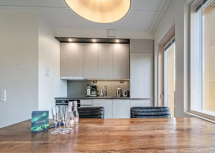 Tunturinlaita D1 Ski-in Ski-out By Aavalevi Huoneisto