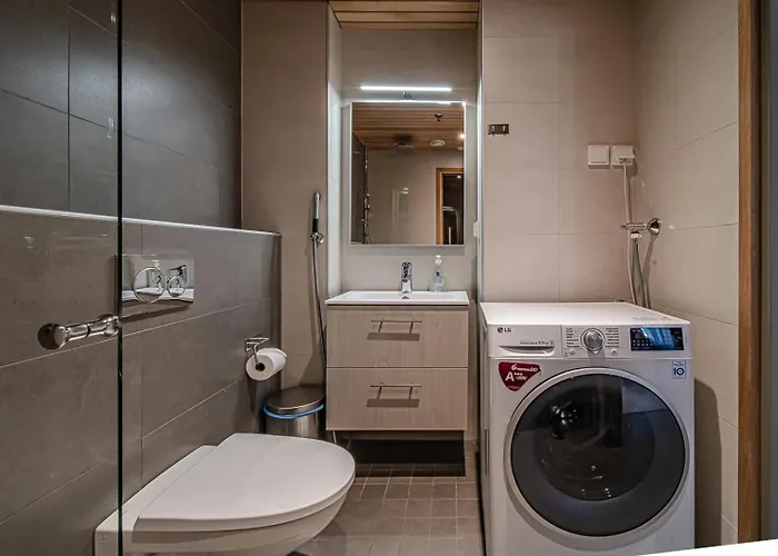 Tunturinlaita D1 Ski-in Ski-out By Aavalevi * Levi