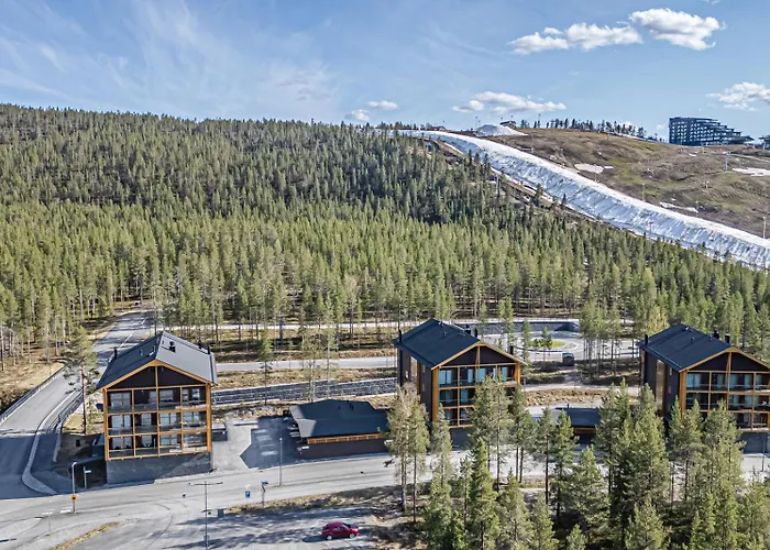 Tunturinlaita D1, Ski-in Ski-out With Private Hot Tub By Aavalevi Levi